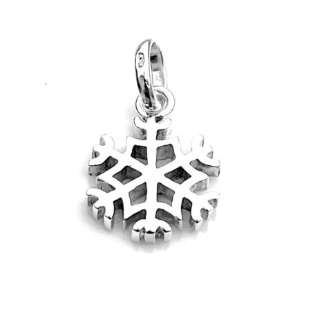 High-resolution image showing the detailed snowflake pattern