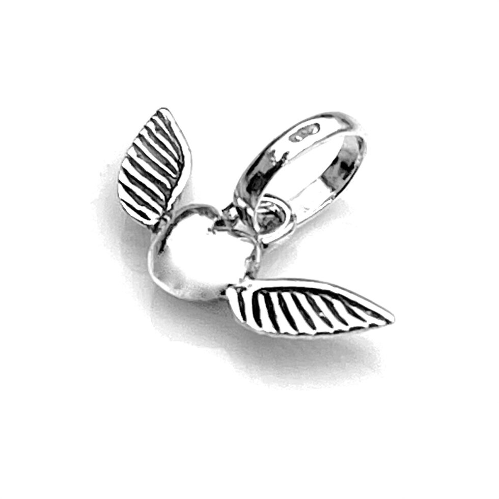 the winged heart design on the charm