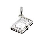 Front view of the 2010 Links of London "Once Upon a Time" Book Charm.