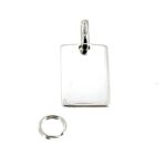 back view of the 2010 Links of London VIP Backstage Pass Charm showing the engraving.