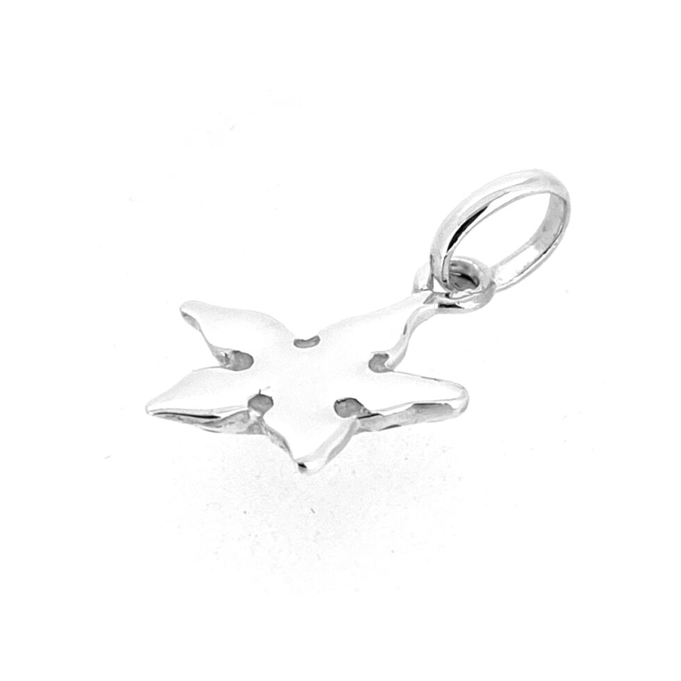 Angled shot highlighting the polished flat bottom and starfish design.