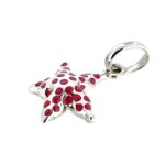 A soft-focus image capturing the shimmer of the polished silver and enamel.