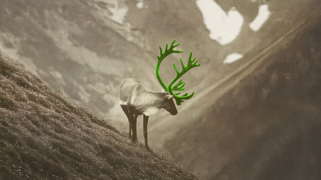 Links of London Reindeer Christmas Catalogue