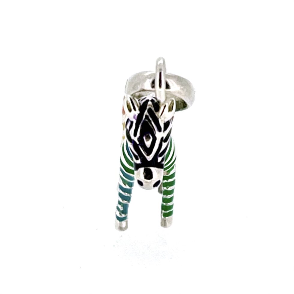 Close detail of enamel striping on zebra’s head