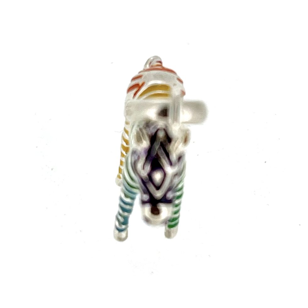 Rainbow enamel stripes on polished silver zebra