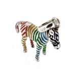 Close-up of zebra's rainbow enamel detailing