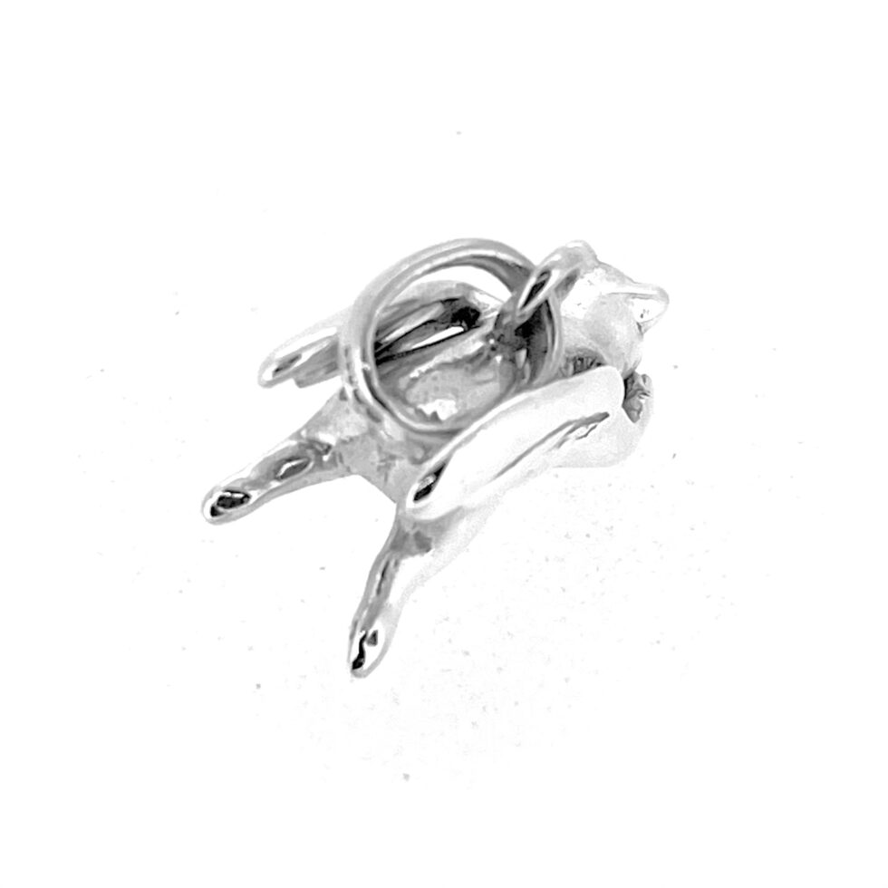 Flying pig charm viewed from above
