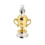 Front view of dual-tone Links of London trophy charm