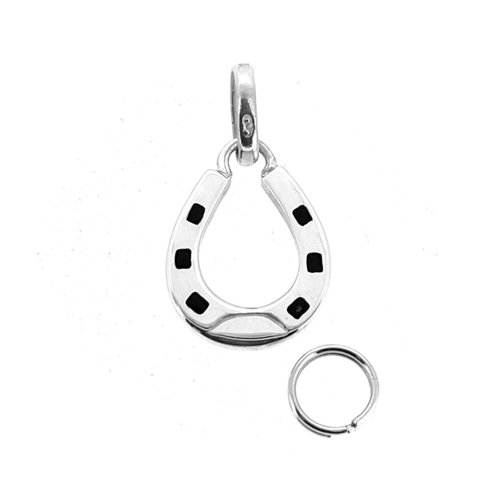 Horseshoe charm on neutral background