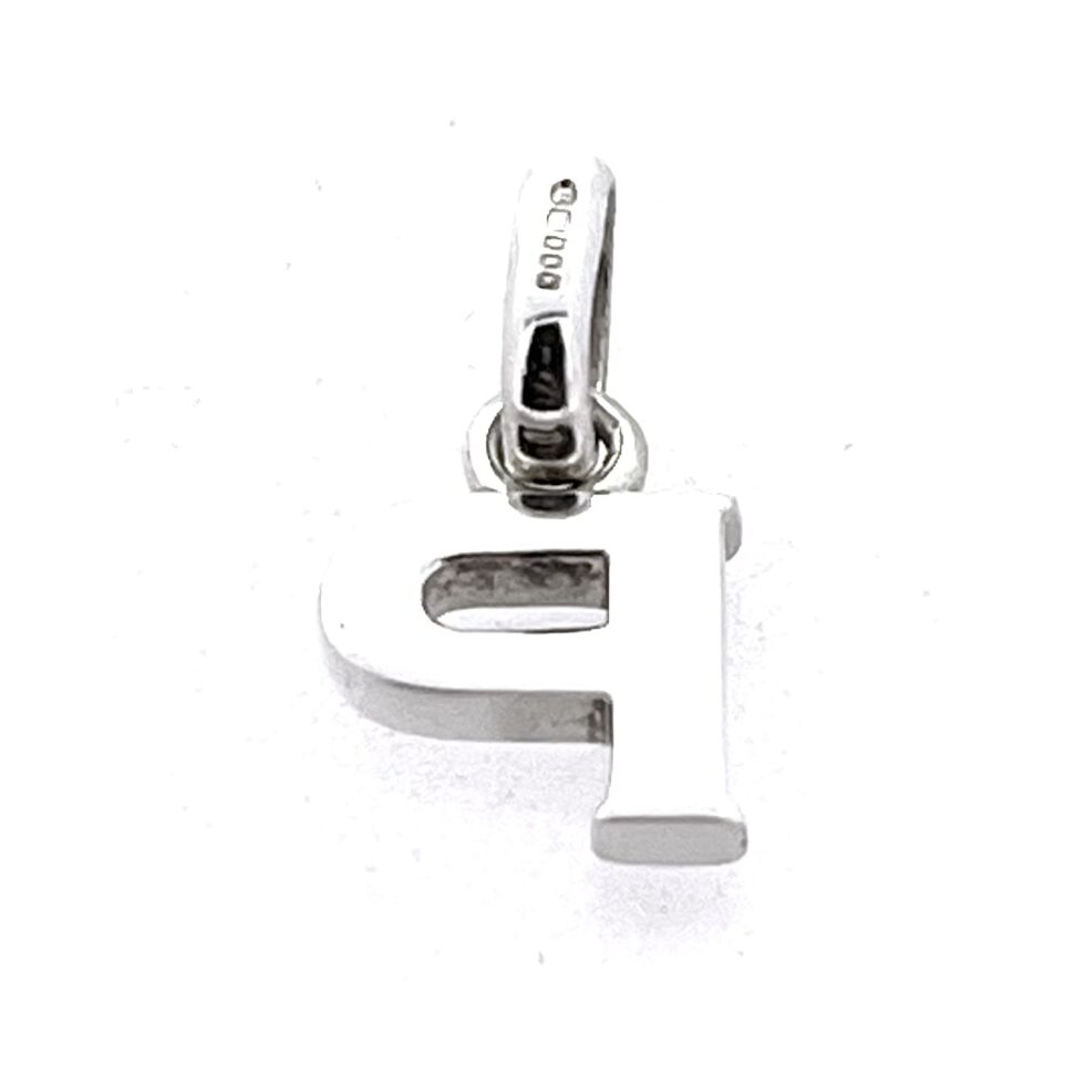 Letter P charm photographed upright on white background