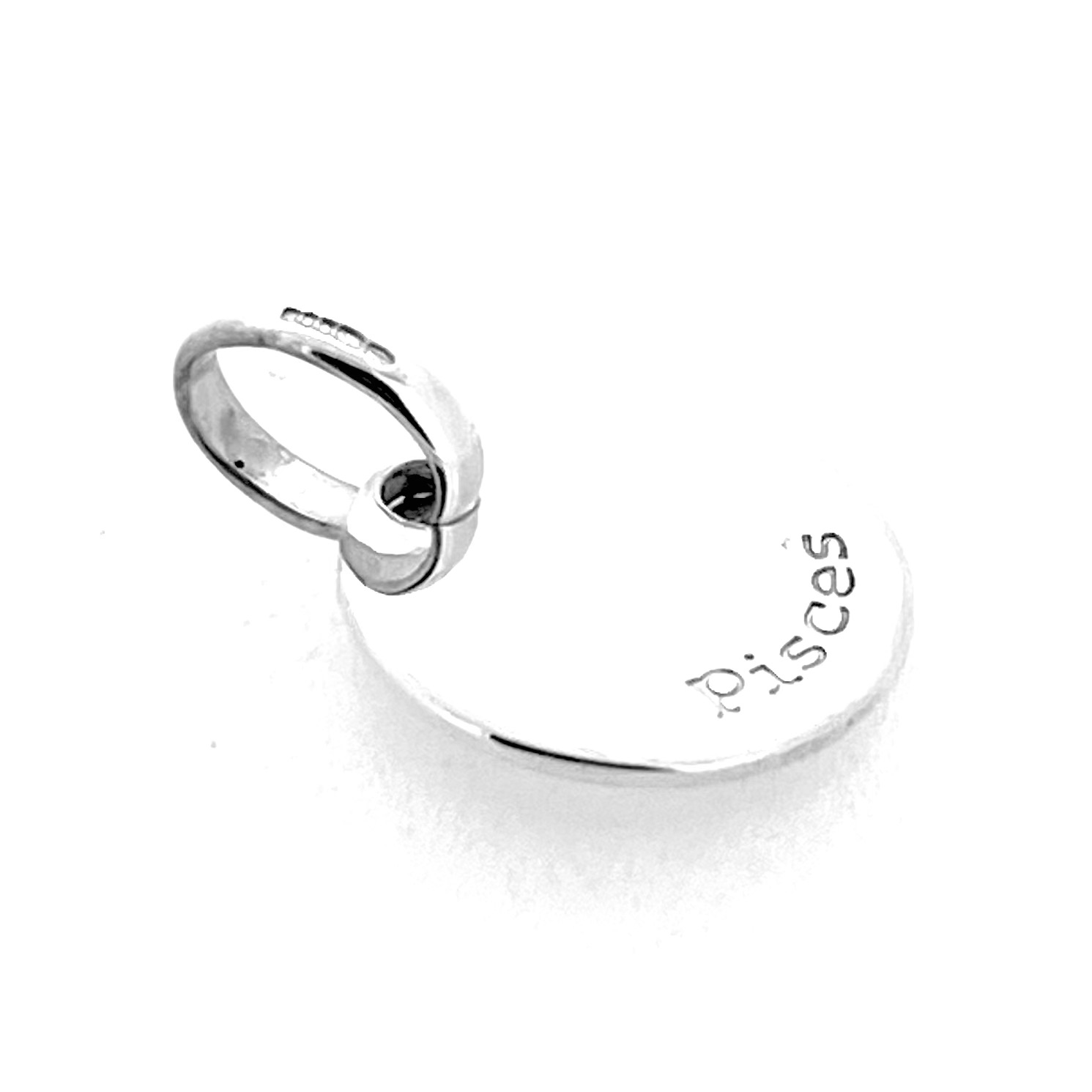 Zodiac charm photographed on white background