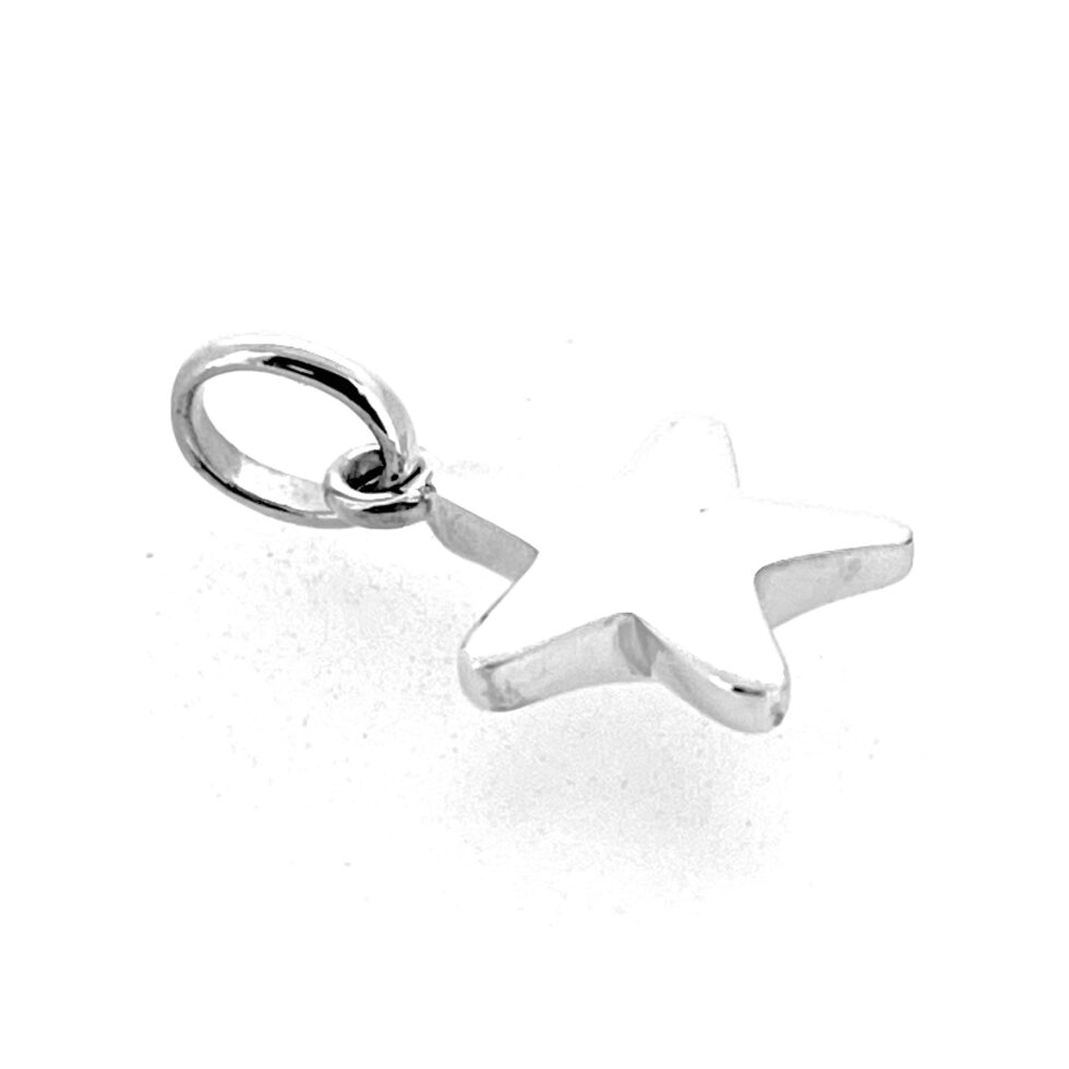 Starfish charm photographed upright for The Vault