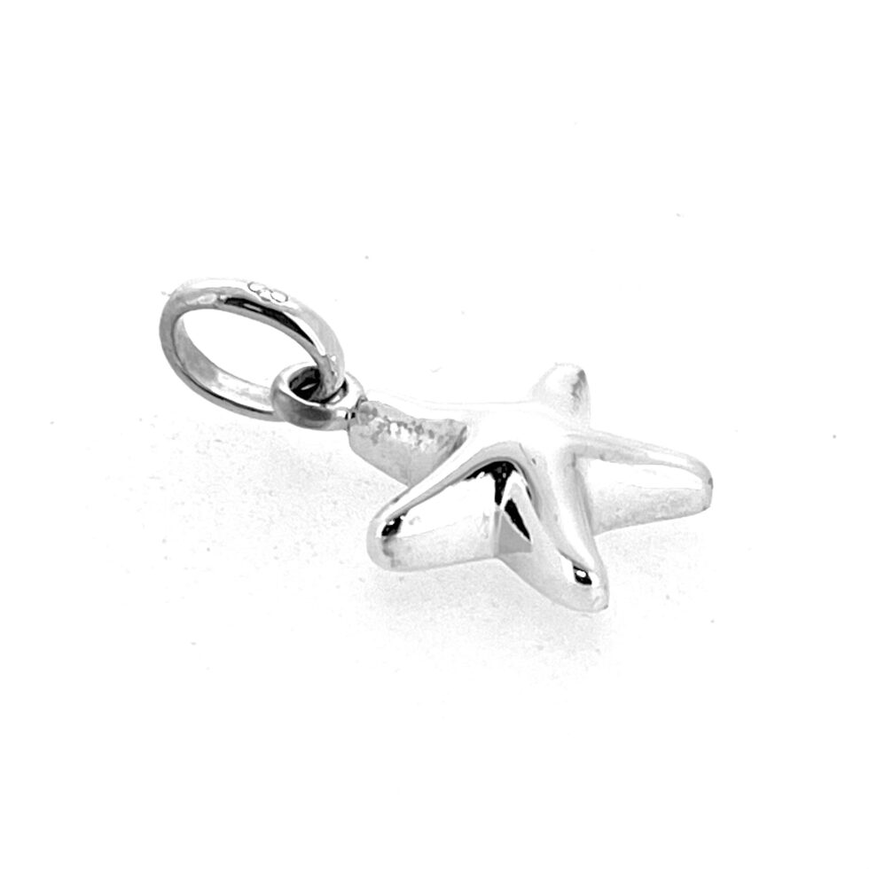 Starfish charm photographed on white background