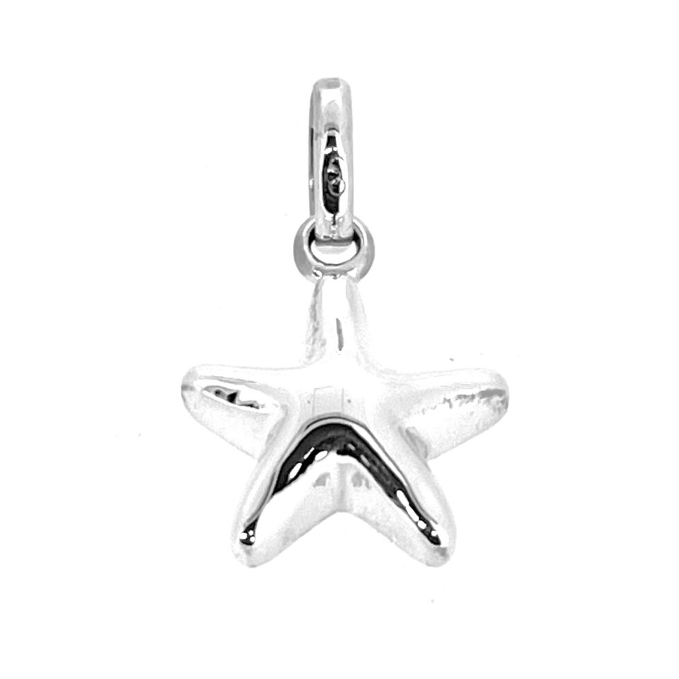 Five-pointed starfish charm polished surface macro