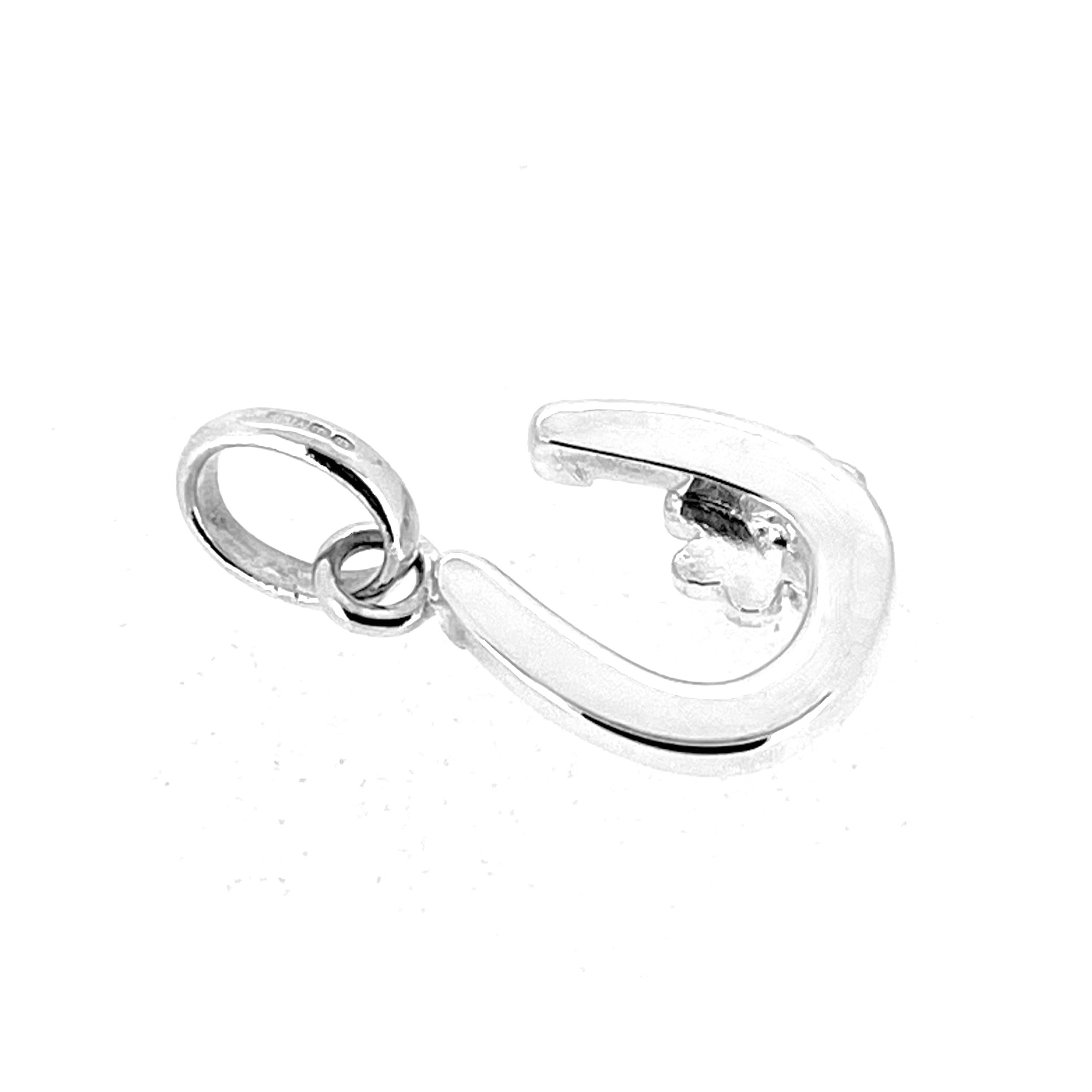 Internal relief detail on horseshoe charm