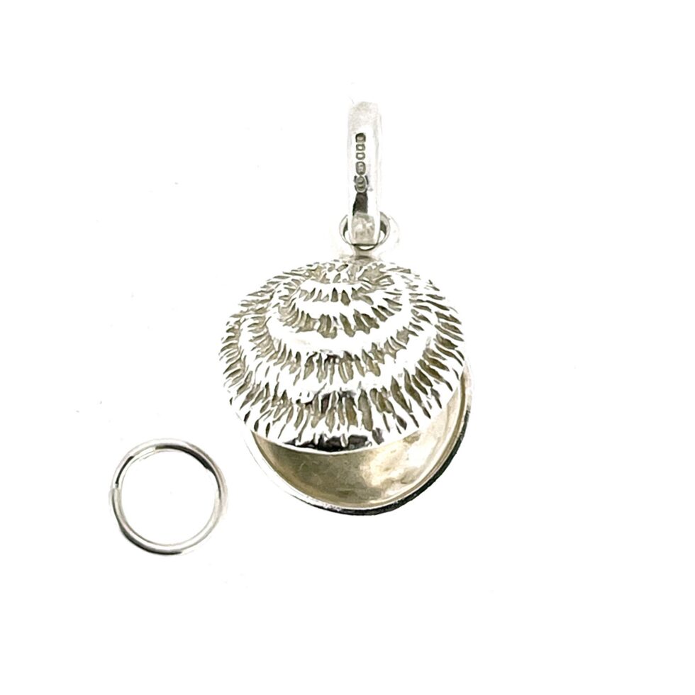 Closed oyster charm textured shell surface