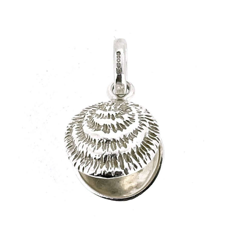 Closed oyster charm textured shell surface